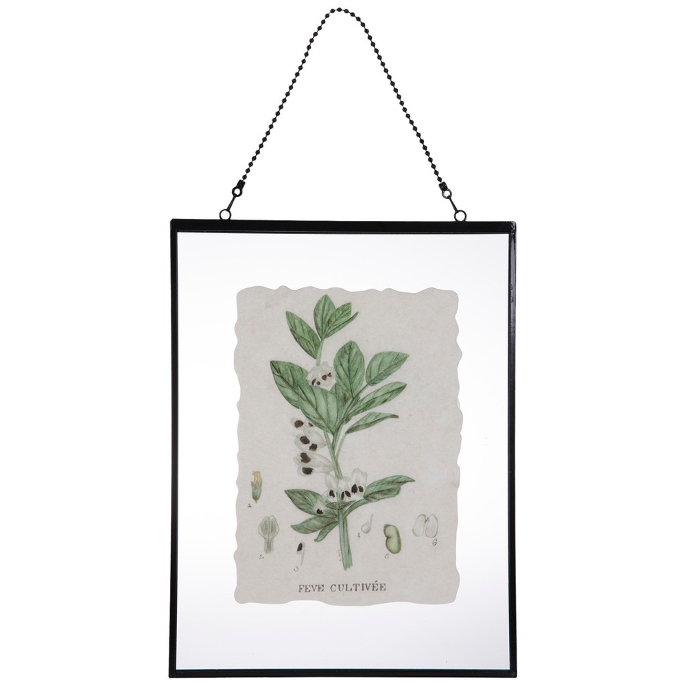 Metal & Glass Bean Plant Hanging Wall Decor